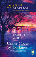 Under Cover of Darkness